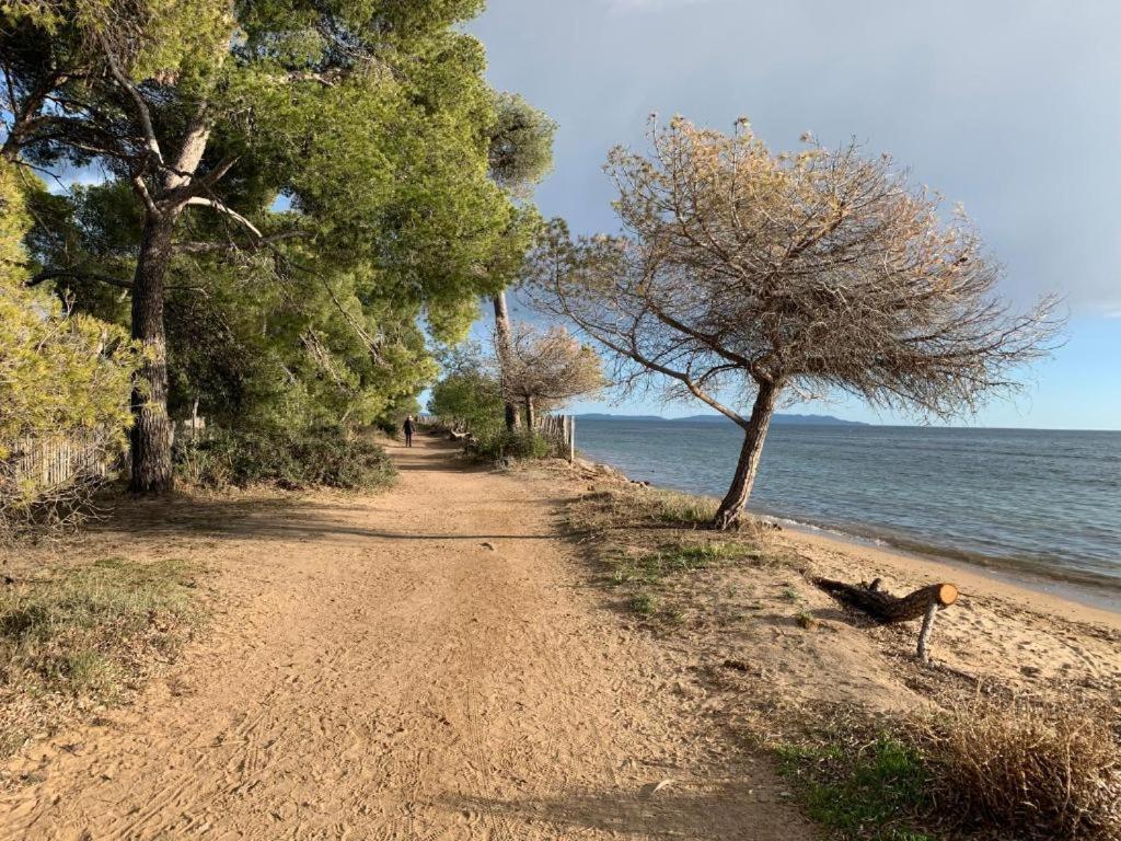 Joli T2 Proche Plage Dans Residence La Londe-les-Maures Ngoại thất bức ảnh